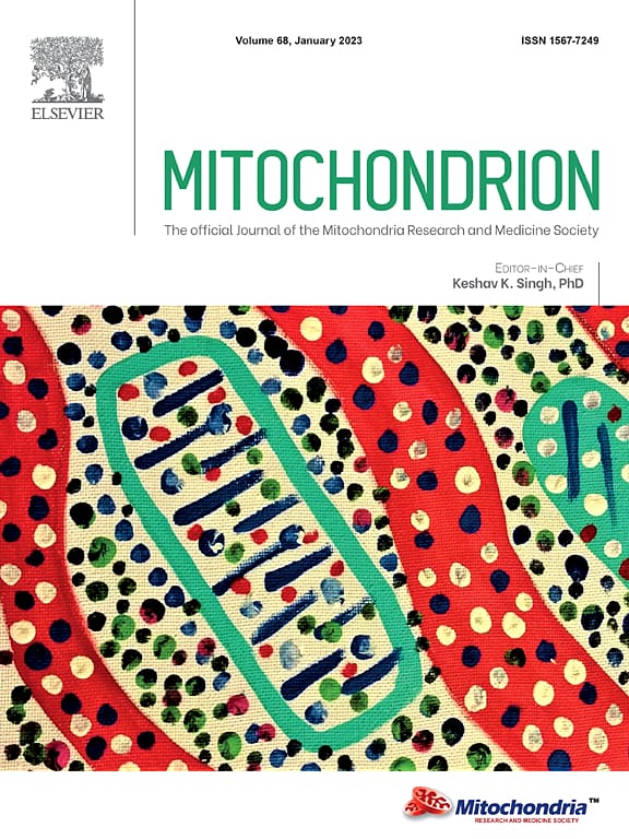 mitochondrion.jpg