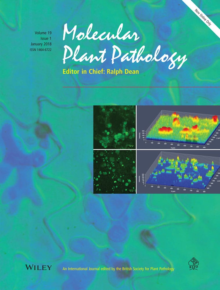 mpp-cover.jpg